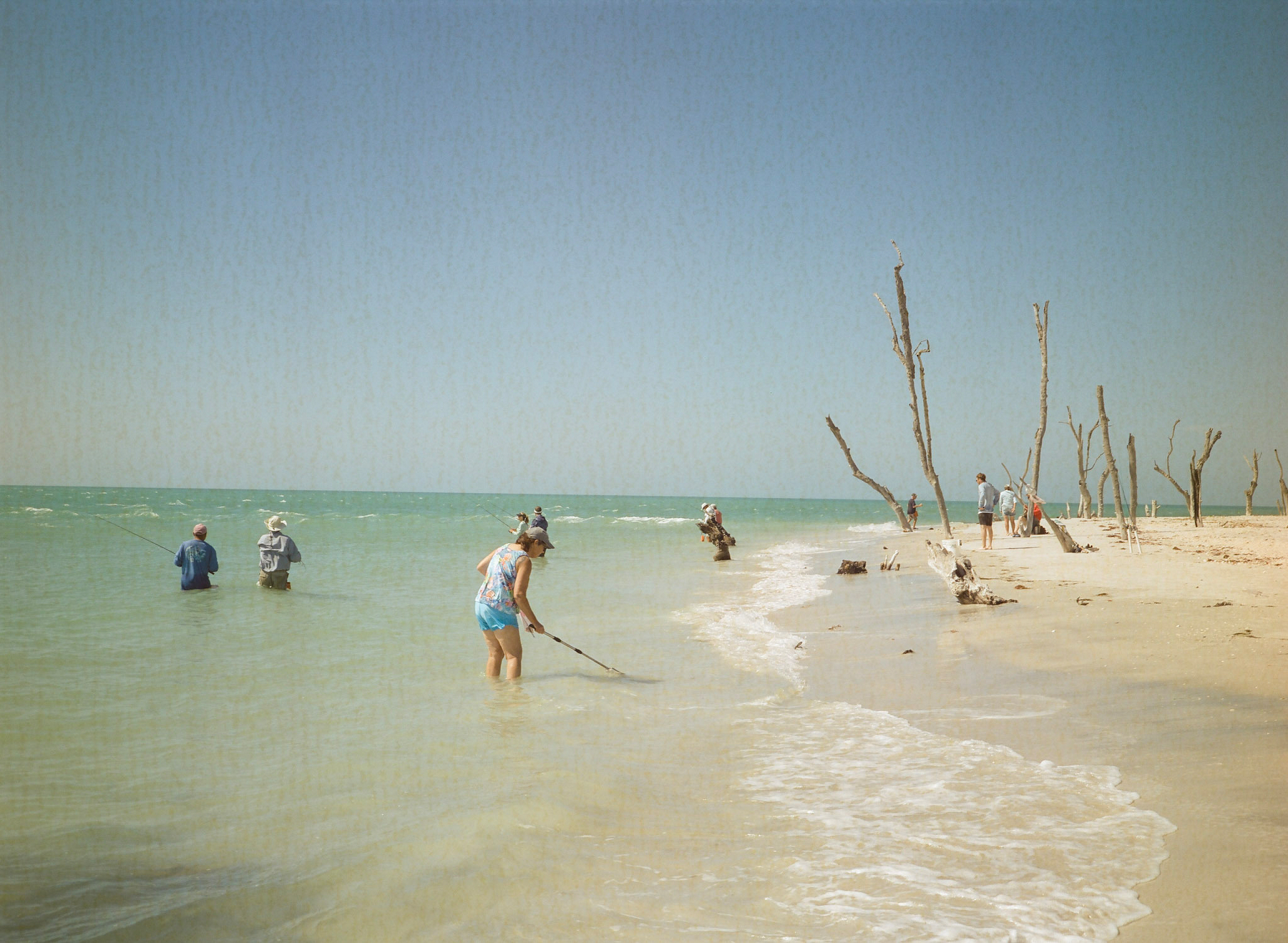 Auto-generated description: Several people are enjoying a beach with clear water, a sandy shore, and scattered driftwood.
