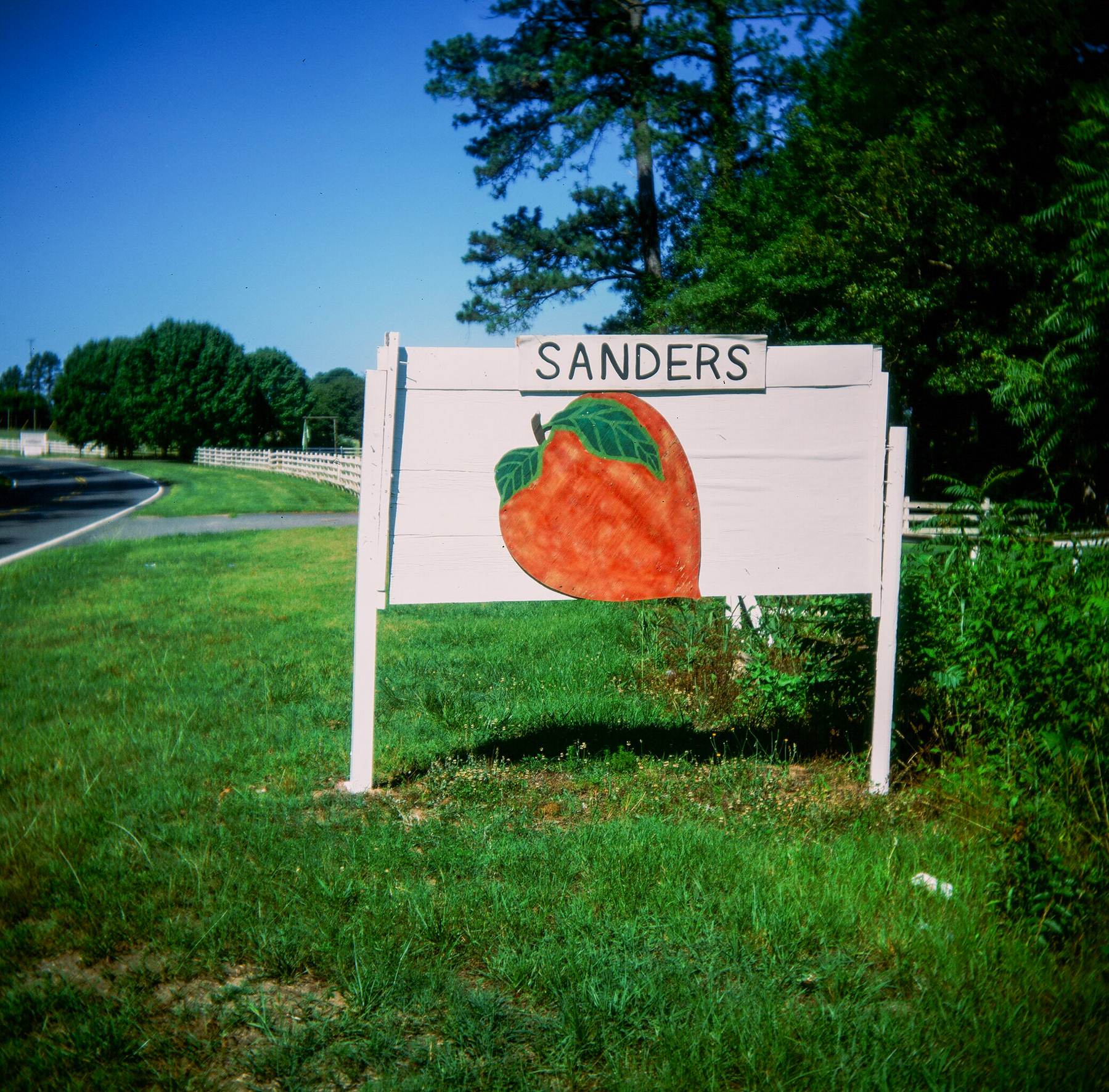 Auto-generated description: A painted sign with the word SANDERS and an illustration of a peach is displayed on a grassy roadside.