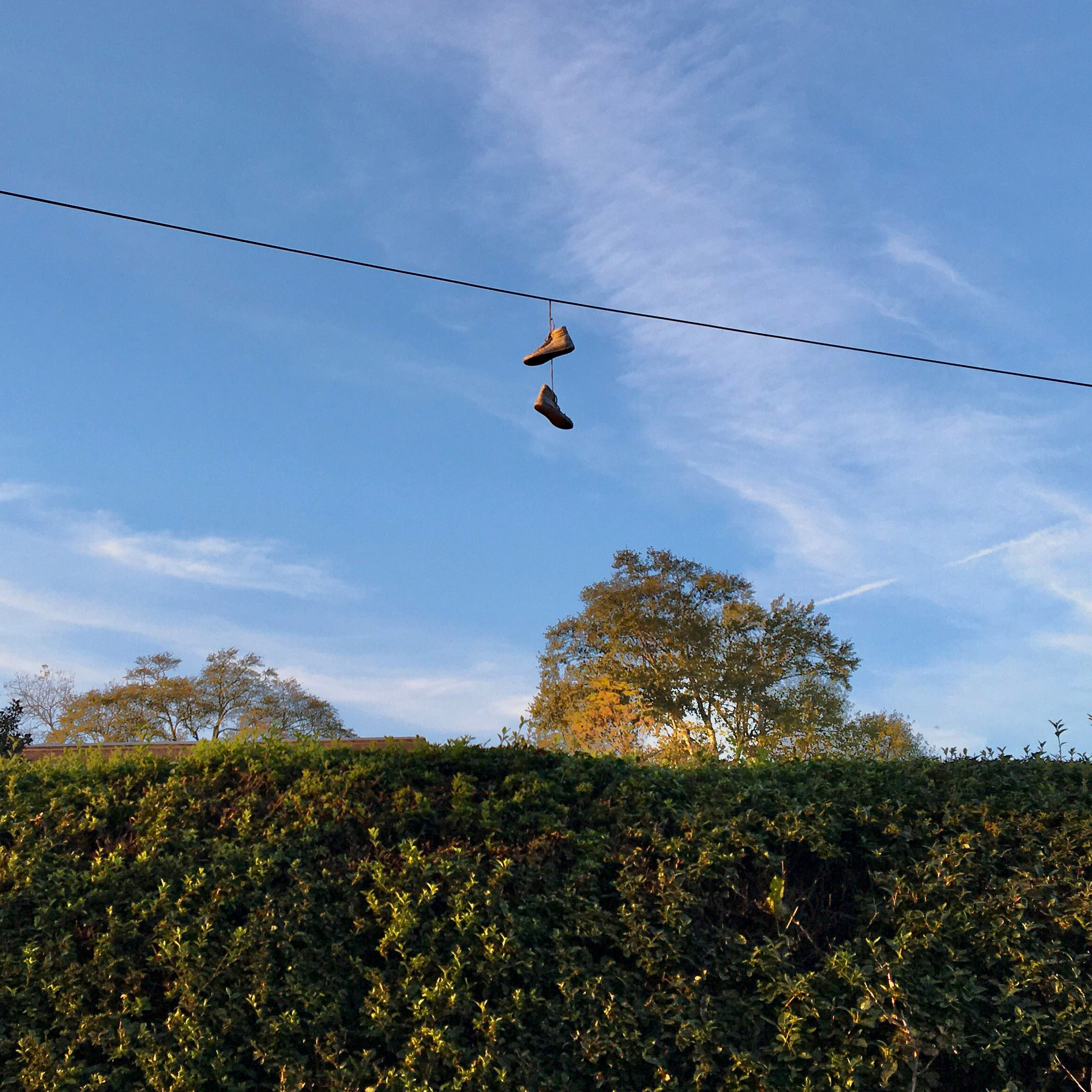 Auto-generated description: A pair of shoes is hanging from a power line above a lush green hedge with a backdrop of a blue sky and trees.